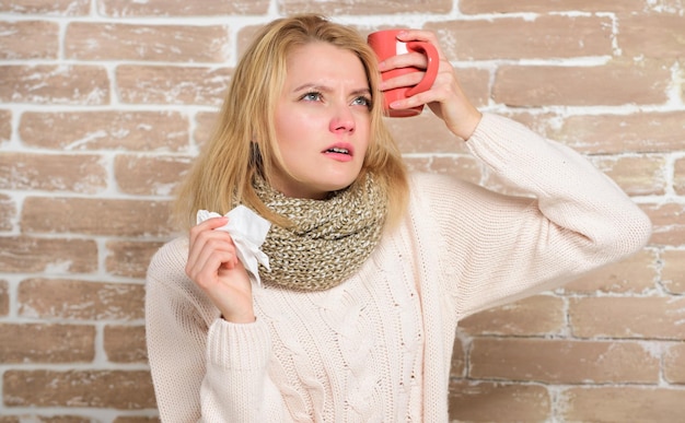 Kaszel kenelowy jak leczyć u psa?