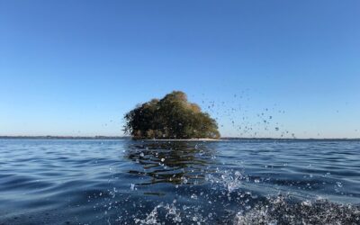 Ile wody wypić przed TK z kontrastem?