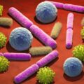 Streptococcus spp co to jest i dlaczego budzi zainteresowanie lekarzy?