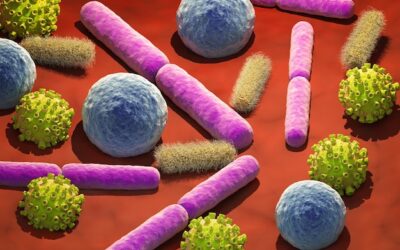 Streptococcus spp co to jest i dlaczego budzi zainteresowanie lekarzy?
