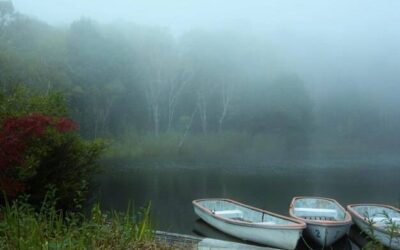 Nebbudd jakie ma działanie i kiedy się go stosuje?