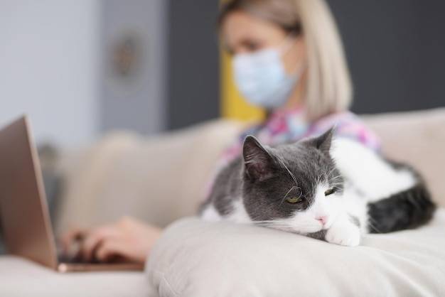 Przeziębienie u kota czym leczyć w domowych warunkach?