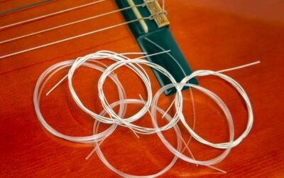 Struny głosowe jak wyglądają i za co odpowiadają?