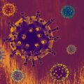 Grypa – choroba wirusowa czy bakteryjna?