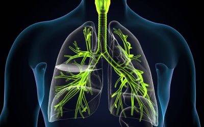 Co na drogi oddechowe podczas sezonu alergicznego?