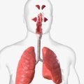 Dolne drogi oddechowe co to oznacza w codziennej diagnostyce?