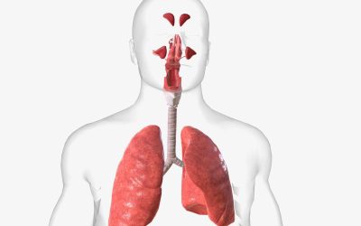 Dolne drogi oddechowe co to oznacza w codziennej diagnostyce?